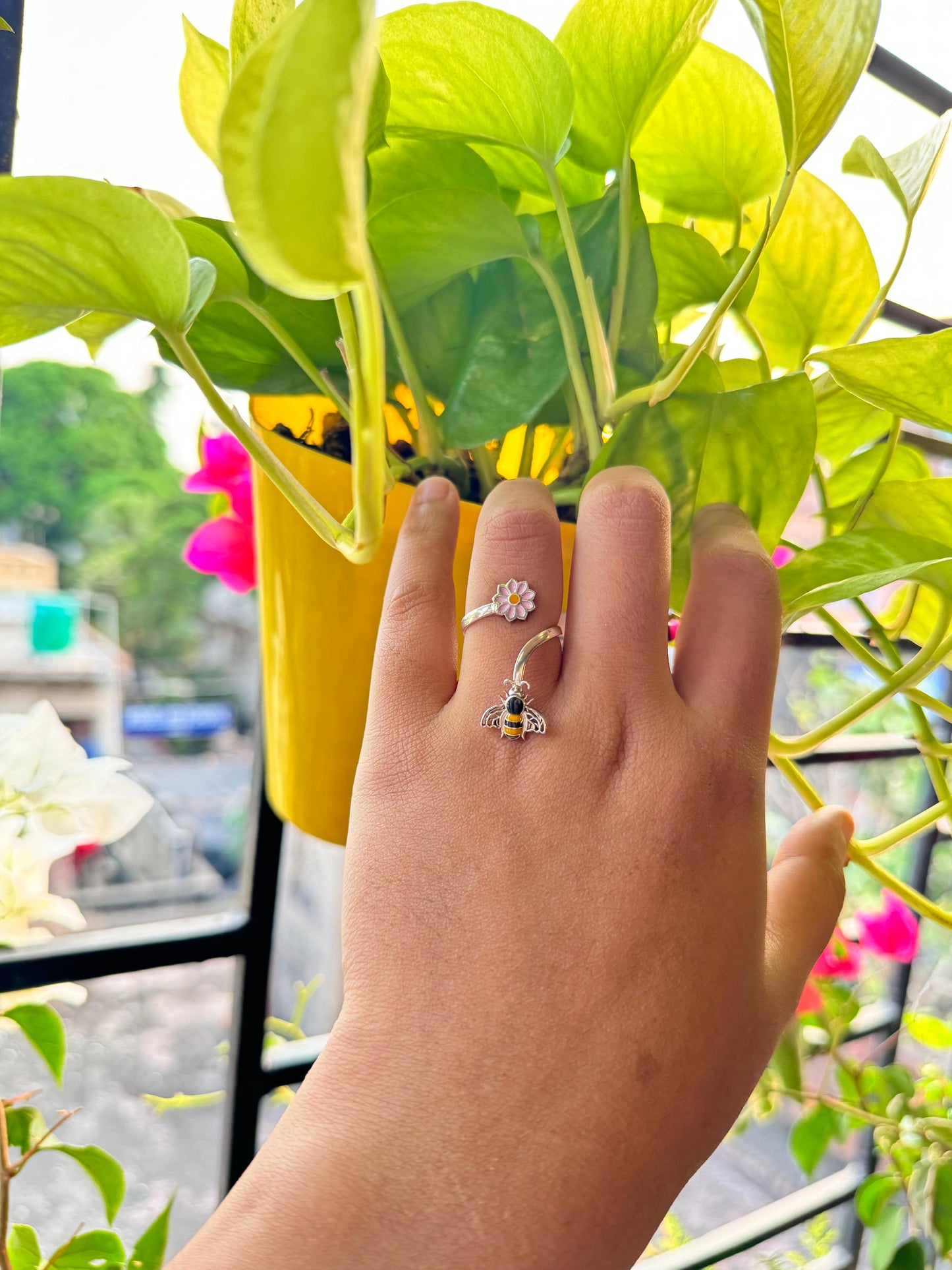 Voice of the garden ring