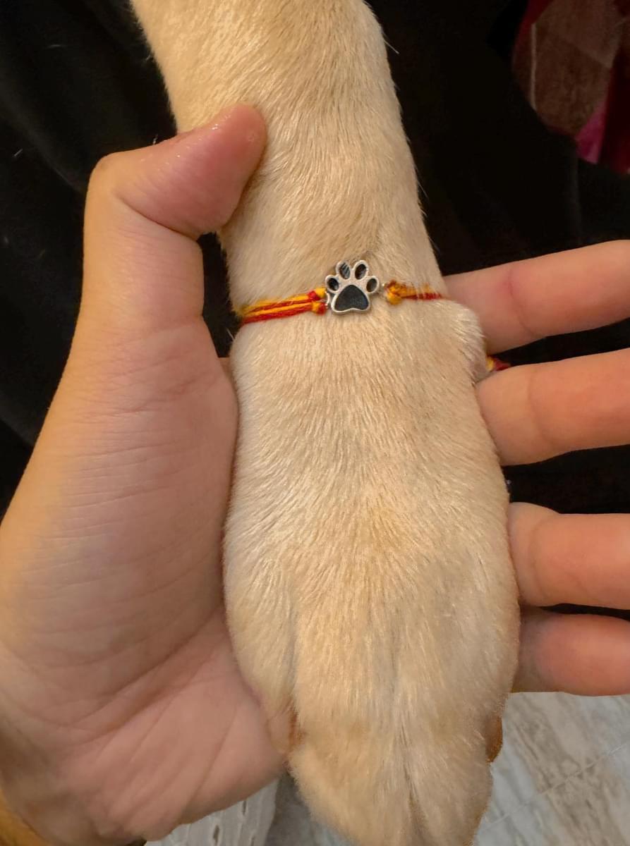 Paw rakhi