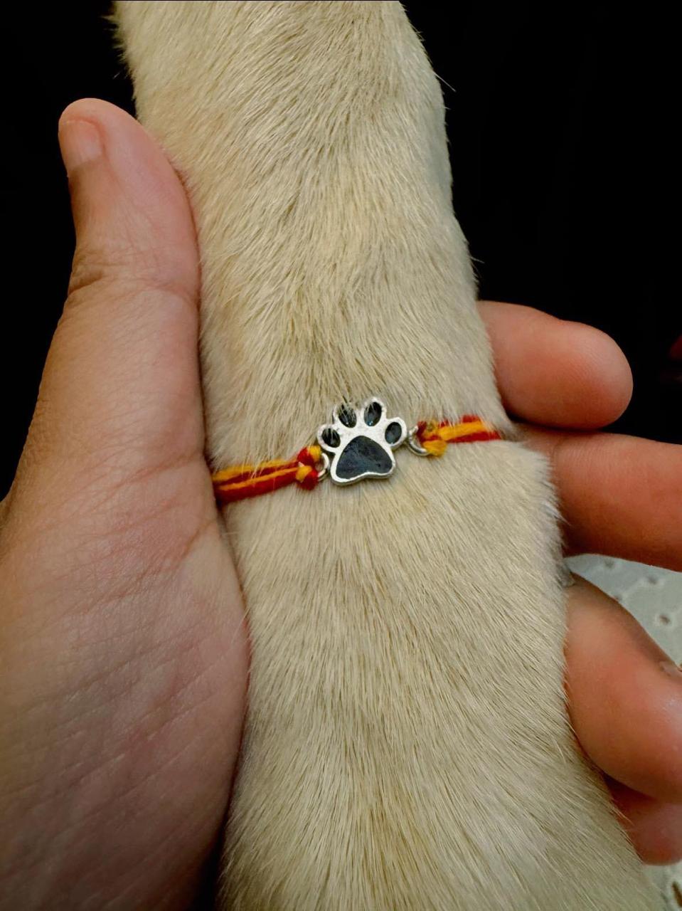 Paw rakhi