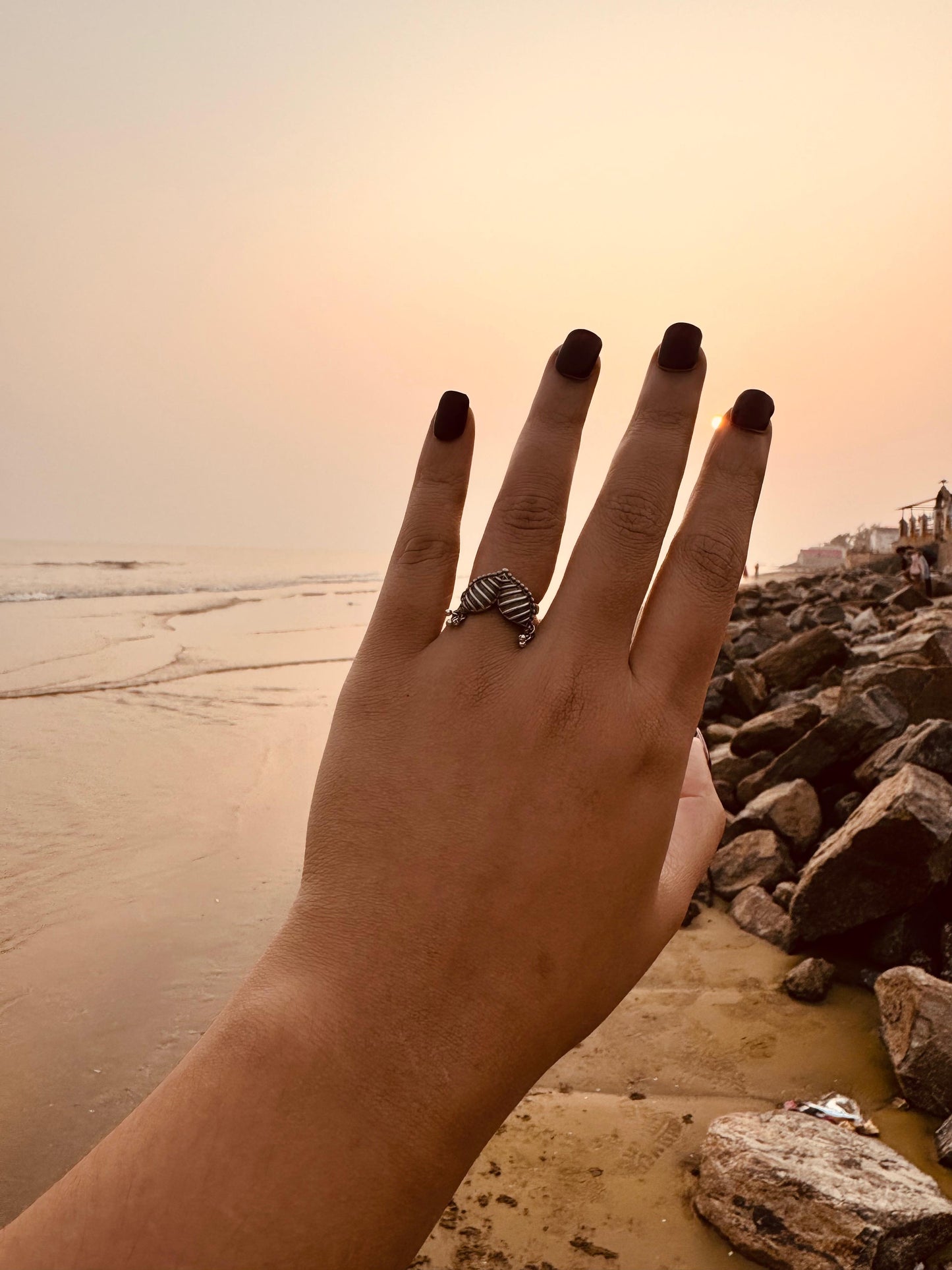 Fish fin ring