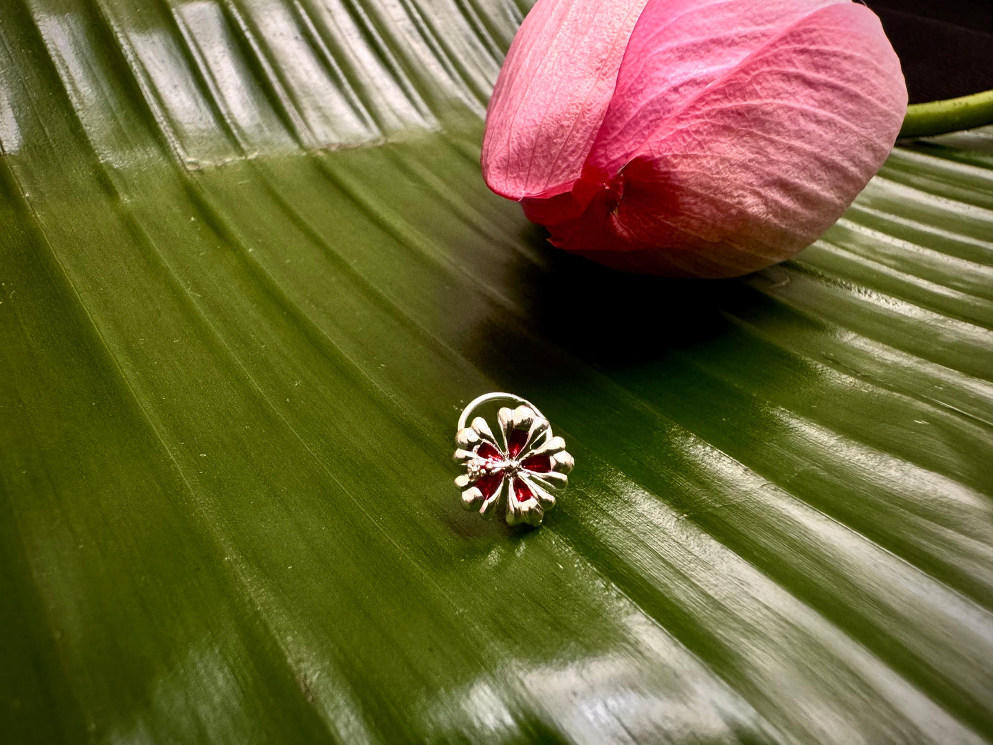 Hibiscus nosepin