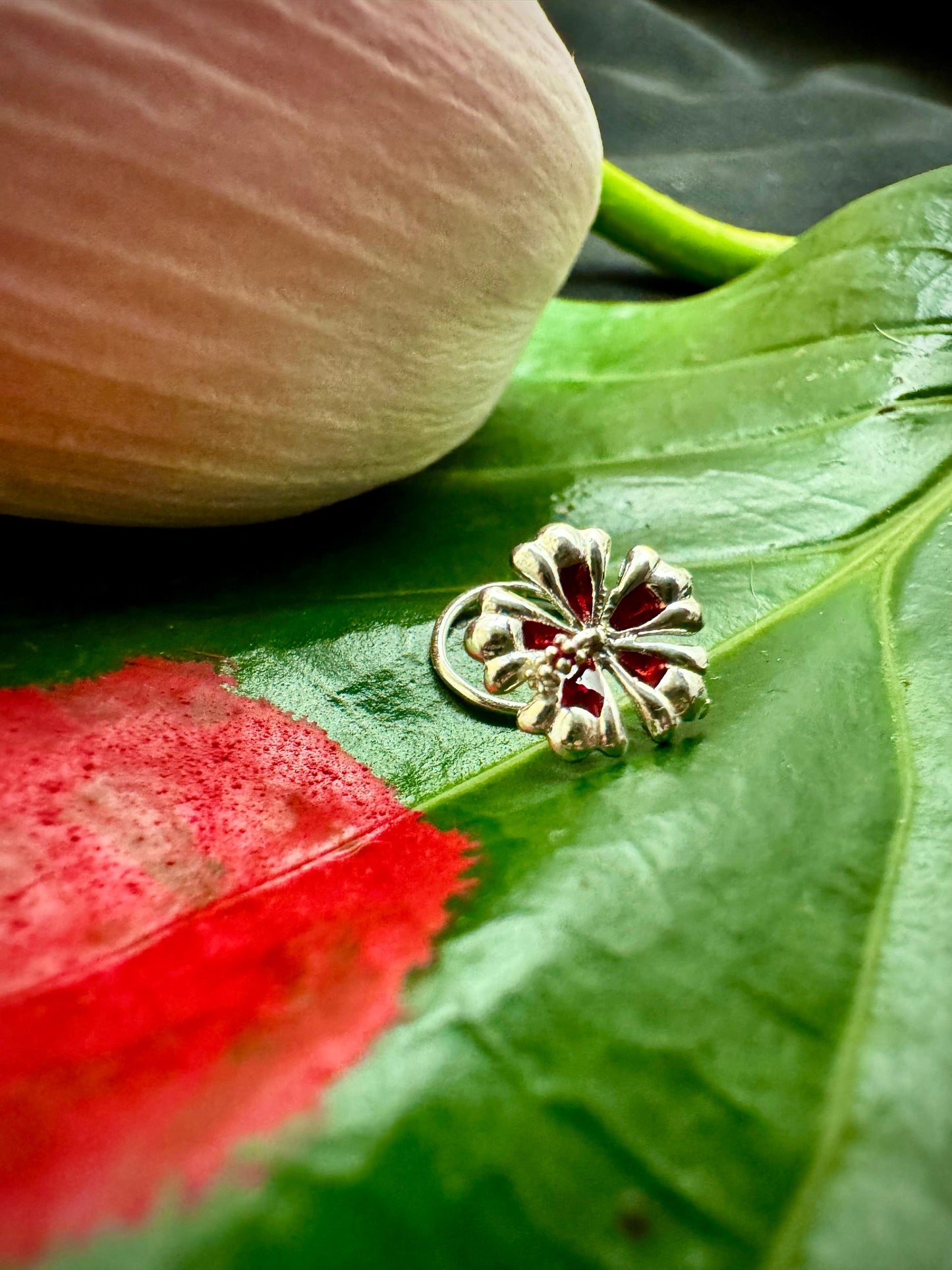 Hibiscus nosepin