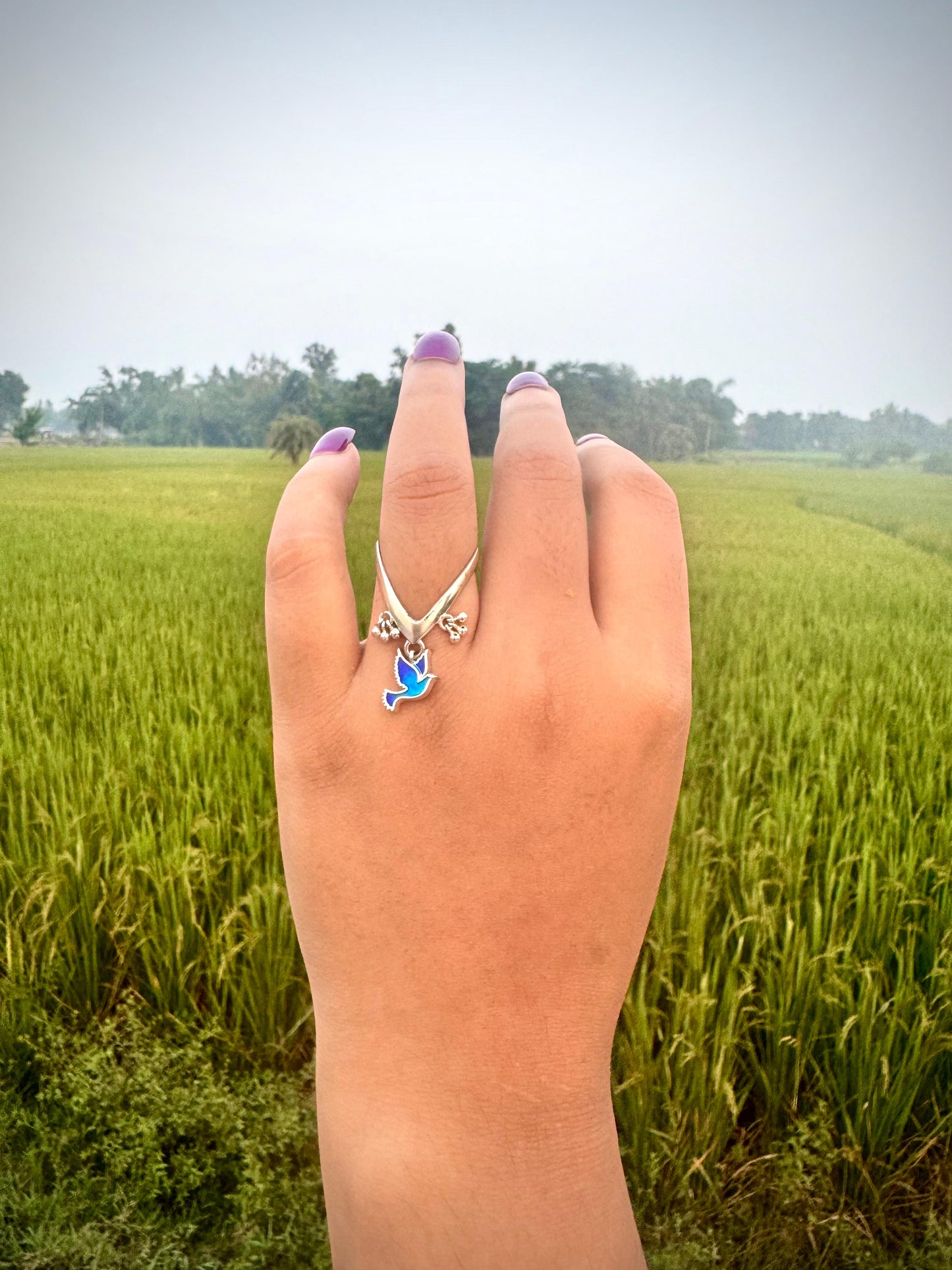 Bird V ring